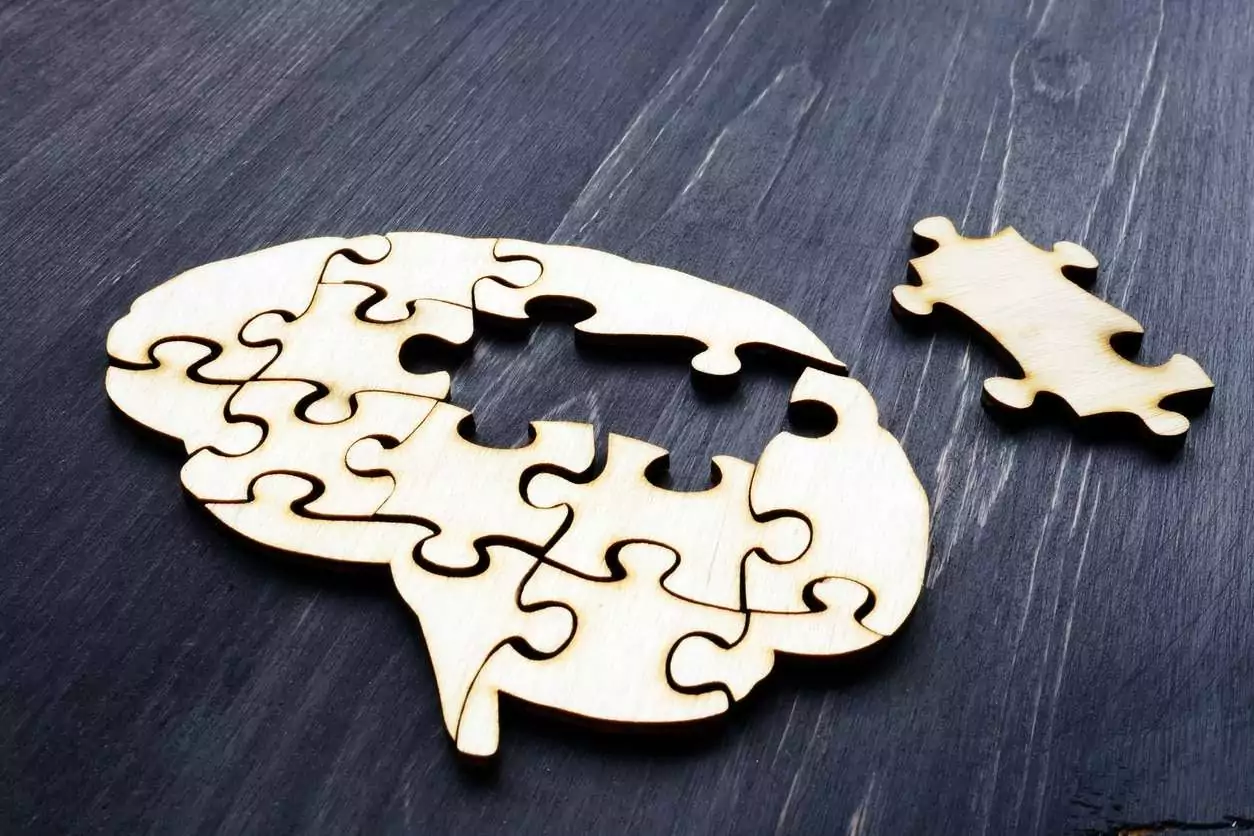 Brain from wooden puzzles. Mental Health and problems with memory. Brain from wooden puzzles. Mental Health and problems with memory.