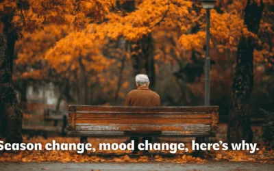 Managing Seasonal Transitions: Coping with Anxiety and Depression in Fall | BestMind Behavioral Health