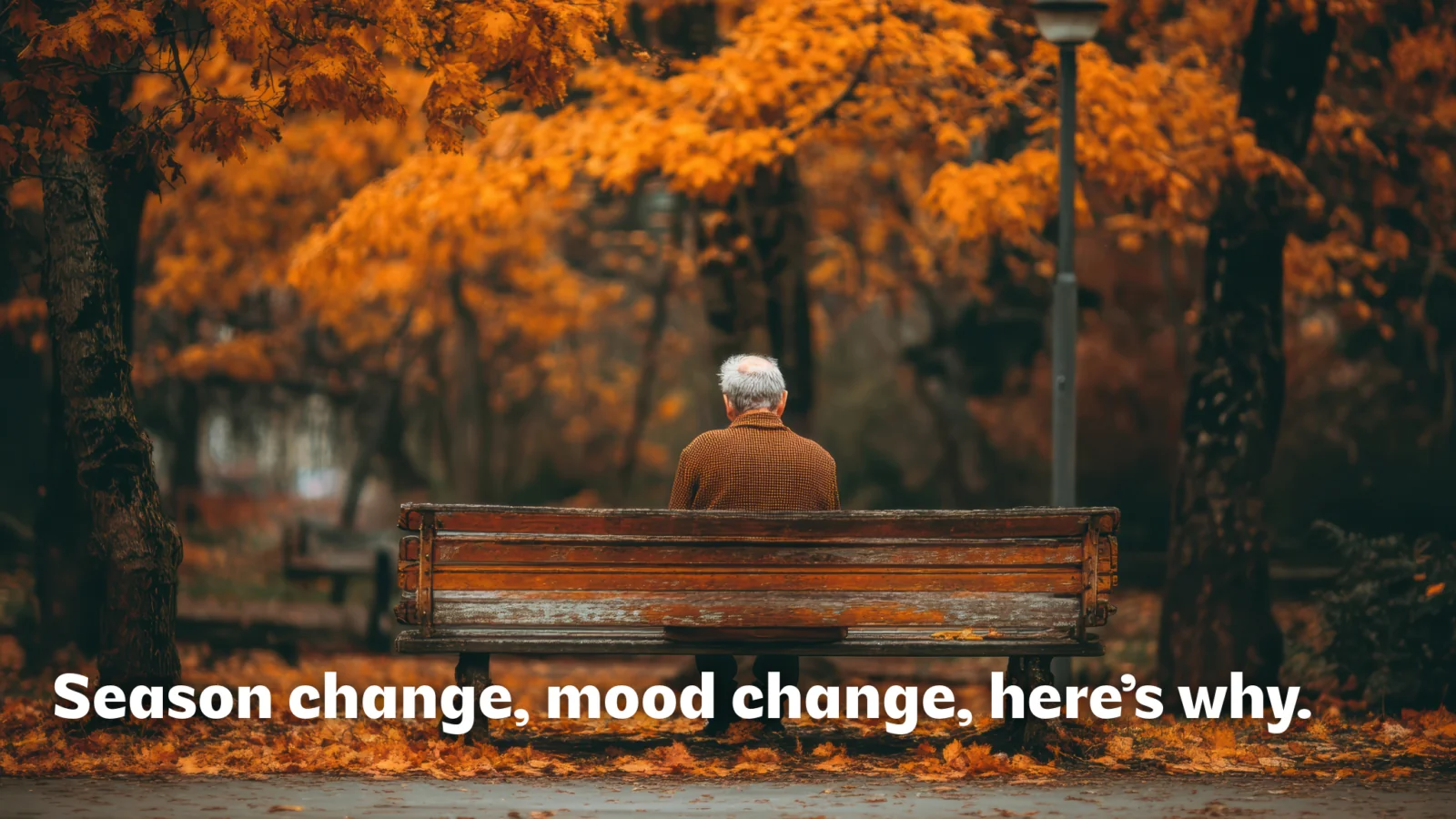 october-bench